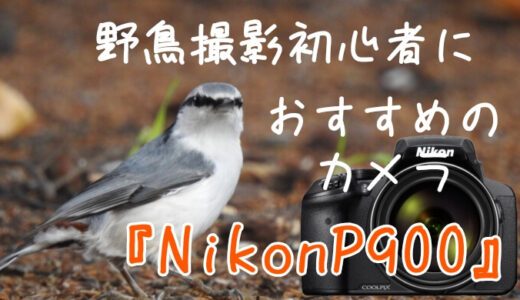野鳥撮影初心者が8万円のカメラを購入！【Nikon P900】が初心者におすすめの理由＆使ってみた感想